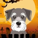 Donna Teal - @donna.teal.9 - Instagram