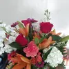 Donna Teal - @user318017164 - TikTok