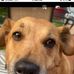 Donna Temple - Facebook