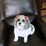 Dona Terwilliger - @donaterwilliger - Instagram
