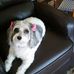 Dona Terwilliger - Facebook