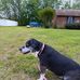 Donna Kay Thaxton - Facebook