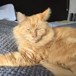 Donna Dickson - @donna.thorne.779 - Instagram