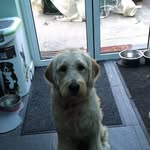 Donna Thorne - @donna.thorne.154 - Instagram
