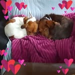 Donna Thorne - @thornedonna - Instagram