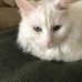 Donna Thorne - Facebook