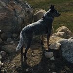 Donna Moore Thurston - @thurstondonna757 - Instagram