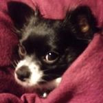 Donna Thurston - @thurston4092 - Instagram