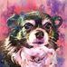 Donna Thurston - Facebook
