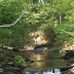 Donna Thurston - Facebook