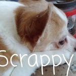 Donna Thurston Carpenter - @donnacarpenter122 - Instagram