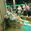Donna Tiernan - @donna.tiernan1 - TikTok