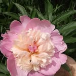 Donna Tigner - @donna.tigner.73 - Instagram