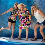 Donna Anderson Timmerman - @timmermandonna - Instagram