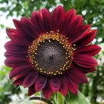 Donna Timmerman - @donna.timmerman - Instagram