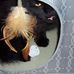 Donna Tims - Facebook