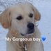 Donna Tims - Facebook