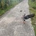 Donna Ting - Facebook