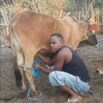 Tinkhan Mac Donald Banda - @tinkhanmacdonald - Instagram