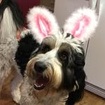 Donna Tinney - @donnatinneydesigns - Instagram