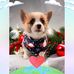 Donna Tipton - Facebook