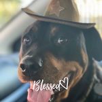 Donna Tipton - @donna.tipton2 - Instagram