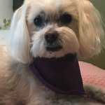 Donna Tkach - @donna.tkach - Instagram