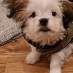 Donna Tobin - @tobindonna - Instagram