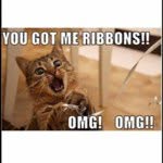 Donna Tobin - @donnatobin - Instagram