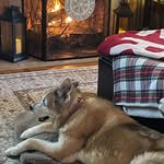Donna Tobin - @dtobin32 - Instagram