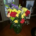 Donna Tobin - @dmtobin55 - Instagram