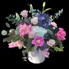donatucci - @donatucci - TikTok