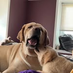 Donna Tocci - @mysmooe - Instagram