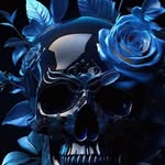 Donna Tocci - @donna.tocci.10 - Instagram