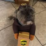 Donna Tocci Hoahng - @donnaho1010 - Instagram
