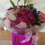 Donna Marie - @donna.tooley.10 - Instagram