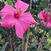 Donna Terkelsen - Facebook
