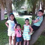 Donna Ward Torrez - @donnatorrez - Instagram