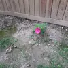 Donna Tisi - @donna.tisi - TikTok