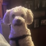 Donna Phillips-Tosh - @phillipstosh - Instagram