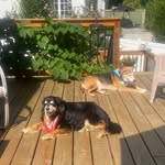 Donna Touchstone - @touchstone_donna - Instagram