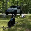 Cree - @donna.townsend18 - TikTok