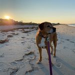 Donna Shumar Towner - @dtowner21 - Instagram