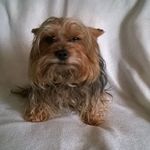 Donna Towner - @towner522 - Instagram