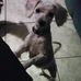 Donnie Townson - Facebook