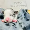 donnastoyminiaussiesokc - @donnastoyminiaussiesokc - TikTok