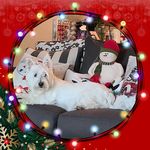 Donna Graves Tracey - @donna_tracey - Instagram