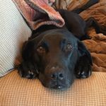 Donna Tracey - @donna.tracey - Instagram