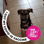 Donna Tracy - @djeantracy21901 - Instagram