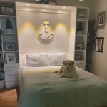 Donna Clark - @donna.trahan.clark - Instagram